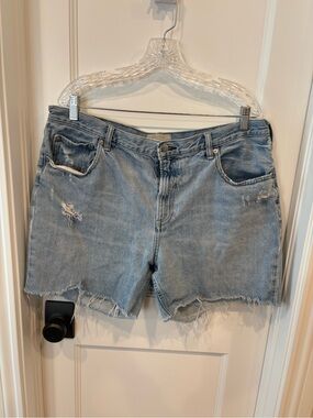 Everlane Denim Shorts